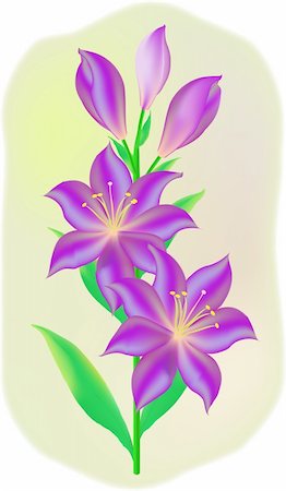 Lily flowers are purple to delicate pastel background Foto de stock - Royalty-Free Super Valor e Assinatura, Número: 400-04320997