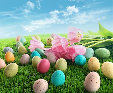 Easter eggs with pink tulips on grass with blue sky Foto de stock - Royalty-Free Super Valor e Assinatura, Número: 400-04321072