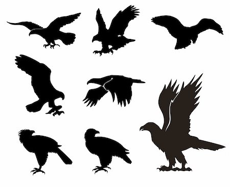 simsearch:400-06087752,k - Various eagle silhouettes isolated on white background Photographie de stock - Aubaine LD & Abonnement, Code: 400-04321776