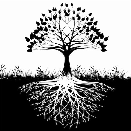 Illustration of silhouette tree with roots as a symbol of nature. Stock Photo - Budget Royalty-Free & Subscription, Code: 400-04322084