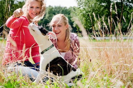 Two blond girls and a american bulldog in the park Stock Photo - Budget Royalty-Free & Subscription, Code: 400-04322465