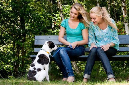 perro guardián - Two blond girls and a american bulldog in the park Foto de stock - Super Valor sin royalties y Suscripción, Código: 400-04322461