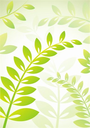 simsearch:400-04525489,k - Vector background with plants with green foliage Stock Photo - Budget Royalty-Free & Subscription, Code: 400-04323033