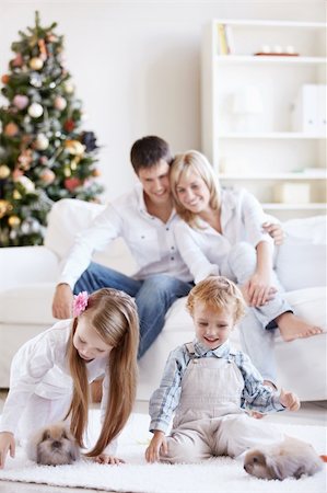 Family with rabbit Stock Photo - Budget Royalty-Free & Subscription, Code: 400-04323148