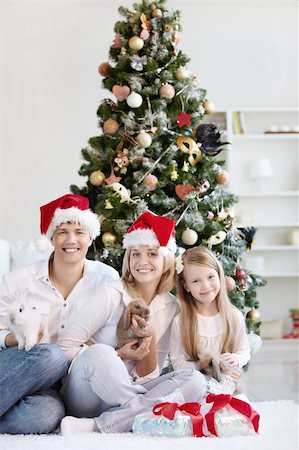 Family Christmas in caps with the rabbits at home Stock Photo - Budget Royalty-Free & Subscription, Code: 400-04323166