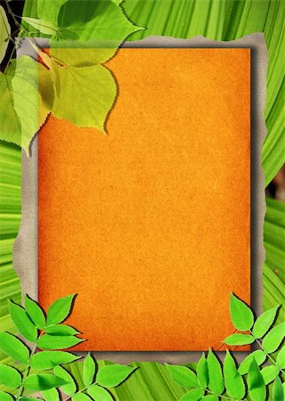 simsearch:400-06068658,k - Old paper background with green leaves Stock Photo - Budget Royalty-Free & Subscription, Code: 400-04323604