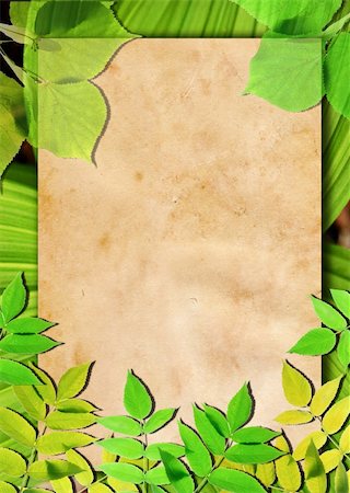 simsearch:400-06068658,k - Old paper background with green leaves Stock Photo - Budget Royalty-Free & Subscription, Code: 400-04323601