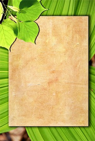 simsearch:400-06068658,k - Old paper background with green leaves Stock Photo - Budget Royalty-Free & Subscription, Code: 400-04323603