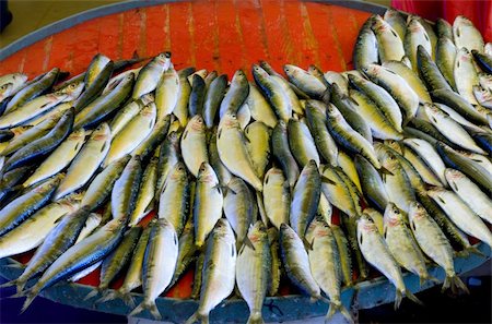 fish merchant - Freshly caught fish for sale at Turkish street market Stock Photo - Budget Royalty-Free & Subscription, Code: 400-04323683