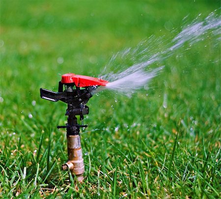 evaporated - Garden lawn water sprinkler Stock Photo - Budget Royalty-Free & Subscription, Code: 400-04323702