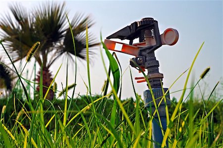 Garden lawn water sprinkler Stock Photo - Budget Royalty-Free & Subscription, Code: 400-04323703