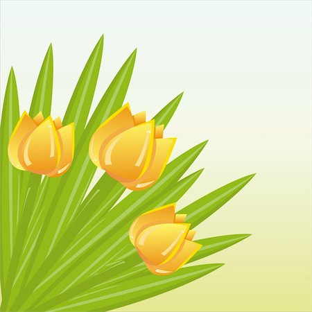 simsearch:400-04331987,k - colorful bunch of tulips background Foto de stock - Super Valor sin royalties y Suscripción, Código: 400-04323777