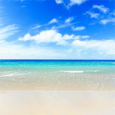 Tropical sandy beach at summer sunny day Stockbilder - Microstock & Abonnement, Bildnummer: 400-04334278