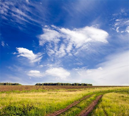 simsearch:400-04018118,k - Beautiful summer landscape. Blue sky with white clouds above rural lane Photographie de stock - Aubaine LD & Abonnement, Code: 400-04334318