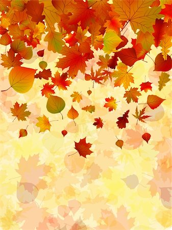 simsearch:400-05254593,k - Autumn leaves background. EPS 8 vector file included Stock Photo - Budget Royalty-Free & Subscription, Code: 400-04334441
