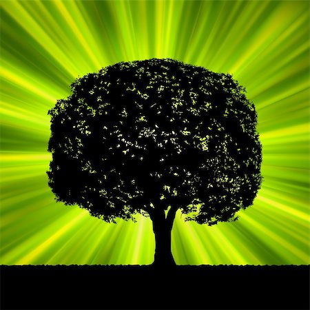 Tree with green burst template for your design. EPS 8 vector file included Stock Photo - Budget Royalty-Free & Subscription, Code: 400-04334452