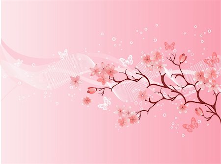 Japanese cherry blossom Stock Photo - Budget Royalty-Free & Subscription, Code: 400-04336799
