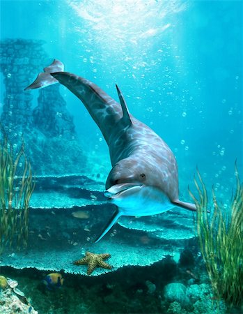 seagrass - a proud dolphin swims in the ocean Stock Photo - Budget Royalty-Free & Subscription, Code: 400-04337277