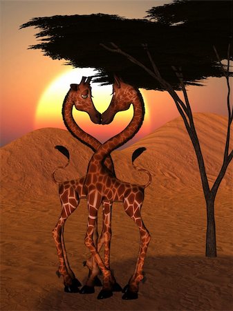 giraffes wedding in the sunrise Stock Photo - Budget Royalty-Free & Subscription, Code: 400-04337271