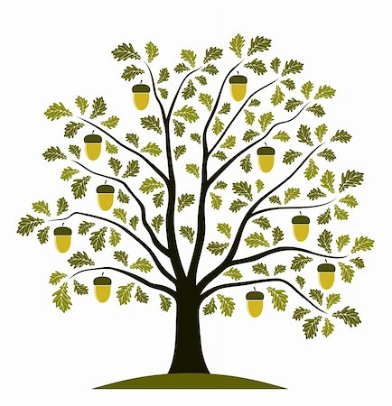 vector oak tree on white background, Adobe Illustrator 8 format Foto de stock - Super Valor sin royalties y Suscripción, Código: 400-04338163