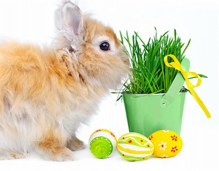 simsearch:400-06073581,k - Bunny with Easter eggs near basket with the spring grass Foto de stock - Royalty-Free Super Valor e Assinatura, Número: 400-04338898