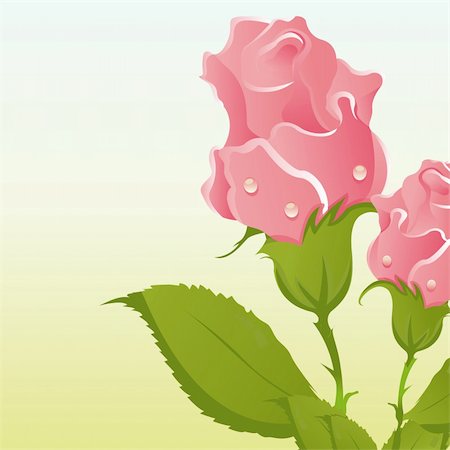 simsearch:400-04331987,k - beautiful roses background Foto de stock - Super Valor sin royalties y Suscripción, Código: 400-04339194