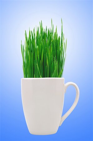 simsearch:400-08074641,k - Cup with grass over blue background Stock Photo - Budget Royalty-Free & Subscription, Code: 400-04339246