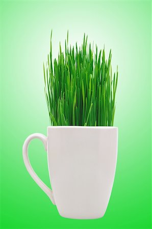 simsearch:400-05744585,k - Cup with grass over green background Stock Photo - Budget Royalty-Free & Subscription, Code: 400-04339247