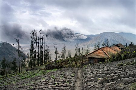 simsearch:400-05114623,k - Mount Bromo volcano, Java. House on a foreground Fotografie stock - Microstock e Abbonamento, Codice: 400-04339365