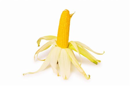 simsearch:400-04243170,k - Corn cob isolated on the white background Stock Photo - Budget Royalty-Free & Subscription, Code: 400-04339684