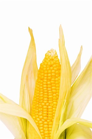 simsearch:400-04243170,k - Corn cob isolated on the white background Stock Photo - Budget Royalty-Free & Subscription, Code: 400-04339680