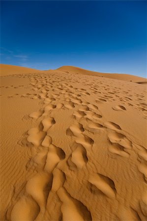 simsearch:400-04340052,k - Desert dunes in Morocco Photographie de stock - Aubaine LD & Abonnement, Code: 400-04339935