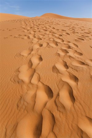 simsearch:400-04340040,k - Desert dunes in Morocco Photographie de stock - Aubaine LD & Abonnement, Code: 400-04339937