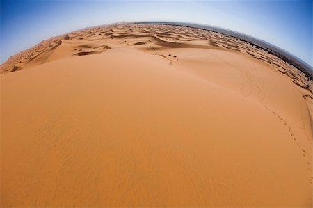 simsearch:400-04340040,k - Desert dunes in Morocco Photographie de stock - Aubaine LD & Abonnement, Code: 400-04339947