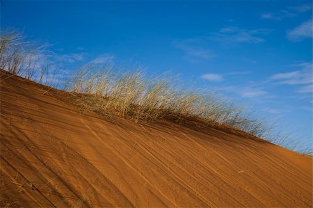 simsearch:400-04340040,k - Desert dunes in Morocco Photographie de stock - Aubaine LD & Abonnement, Code: 400-04339975