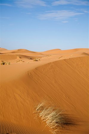 simsearch:400-04340052,k - Desert dunes in Morocco Photographie de stock - Aubaine LD & Abonnement, Code: 400-04339973