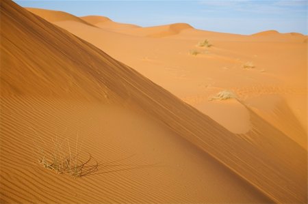 simsearch:400-04340040,k - Desert dunes in Morocco Photographie de stock - Aubaine LD & Abonnement, Code: 400-04339989