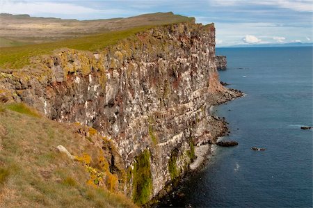 Latrabjarg northwestern tip of Iceland - beauty cliffs. Summer day. Stock Photo - Budget Royalty-Free & Subscription, Code: 400-04330149