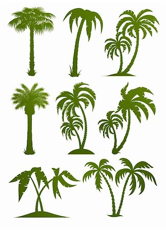 set of palm tree silhouettes vector illustration isolated on white background Stock Photo - Budget Royalty-Free & Subscription, Code: 400-04330233