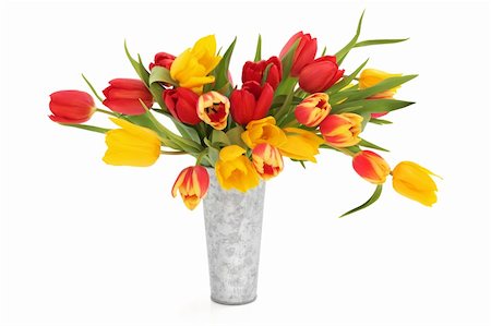 simsearch:400-06356460,k - Tulip flowers in a distressed aluminum vase isolated over white background. Foto de stock - Super Valor sin royalties y Suscripción, Código: 400-04330332