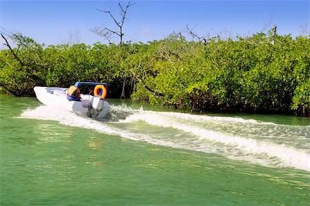 Boating in mangroves in Mayan Riviera Mexico Cancun Lagoon Stockbilder - Microstock & Abonnement, Bildnummer: 400-04330499