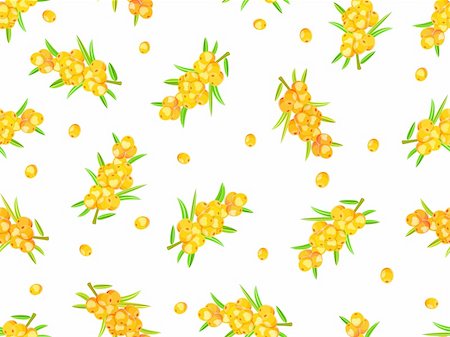 seamless pattern with sappy sea-buckthorn berries on wine isolated on white background. Vector EPS8 Stock Photo - Budget Royalty-Free & Subscription, Code: 400-04331031