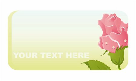 simsearch:400-04331987,k - beautiful roses banner Foto de stock - Super Valor sin royalties y Suscripción, Código: 400-04331296