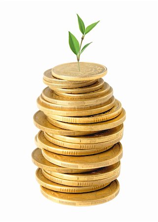 simsearch:400-07574972,k - Coins and green plant isolated on white background Stock Photo - Budget Royalty-Free & Subscription, Code: 400-04331505
