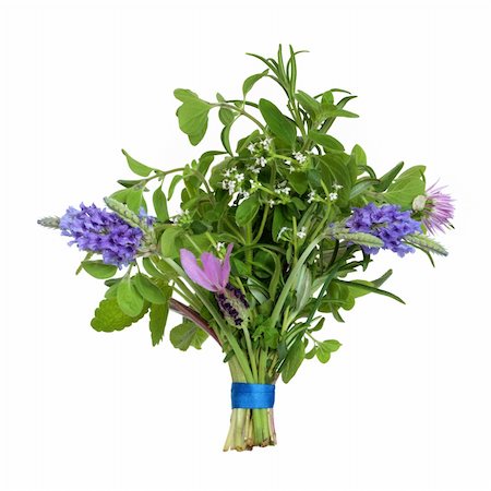 dry cured - Herb leaf and flower posy  of lavender varieties, oregano, chive, rosemary, lemon balm,  eyebright and thyme varieties isolated over white background. Stock Photo - Budget Royalty-Free & Subscription, Code: 400-04332156