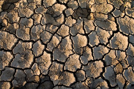 earth surface arid - The soil in the fissures appeared on the long-term heat Stock Photo - Budget Royalty-Free & Subscription, Code: 400-04332402