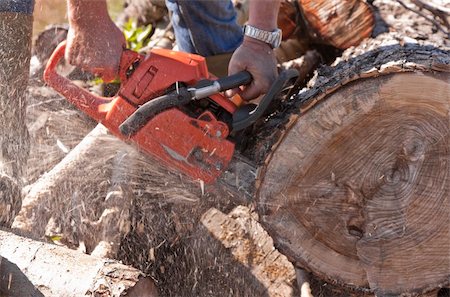 Lumberjack hard at work on a warm summer day Photographie de stock - Aubaine LD & Abonnement, Code: 400-04333036