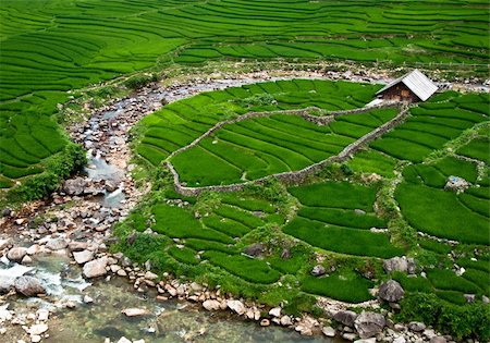 simsearch:400-07570603,k - farmers house in a valley in Sapa Stock Photo - Budget Royalty-Free & Subscription, Code: 400-04333831