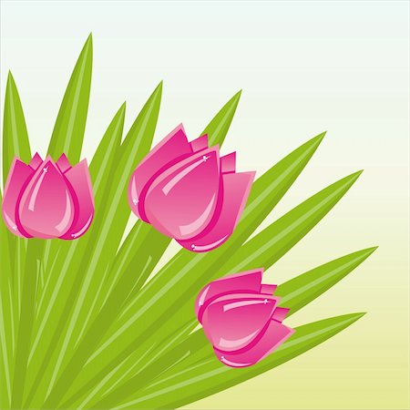 simsearch:400-04361173,k - colorful bunch of tulips background Stock Photo - Budget Royalty-Free & Subscription, Code: 400-04333930