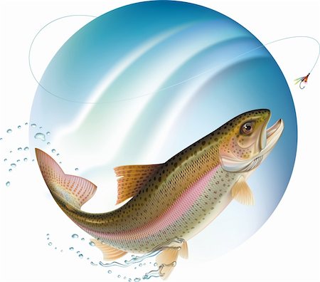 frai - Trout jumping for the bait with water sprays around. Vector illustration. Photographie de stock - Aubaine LD & Abonnement, Code: 400-04344175